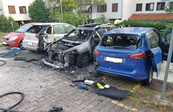 Vzrok požara še ni znan.  Foto: GB Koper