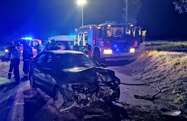 Pijan z avtom v drevo