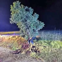 Pijan z avtom v drevo