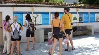 Poulično razstavo, postavljeno ob 70-letnici Tolminskega muzeja, si z zanimanjem ogledujejo domačini in turisti. 