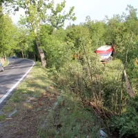 Da bi se izognil trčenju v divjad je voznik s cisterno zapeljal s ceste 
na travnik in nato v grmovje.