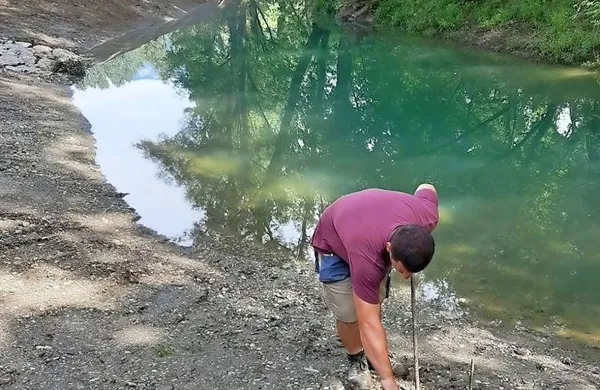 V stranski rokav Vipave se vrača življenje