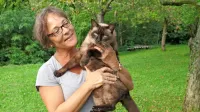 Prof. dr. Nataša Tozon, predstojnica Klinike za male živali na 
Veterinarski fakulteti v Ljubljani