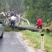 Pred naseljem Trenta