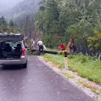Pred naseljem Trenta