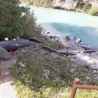 Regata jih je pritegnila 200