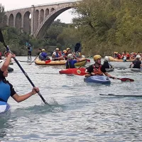 Regata jih je pritegnila 200