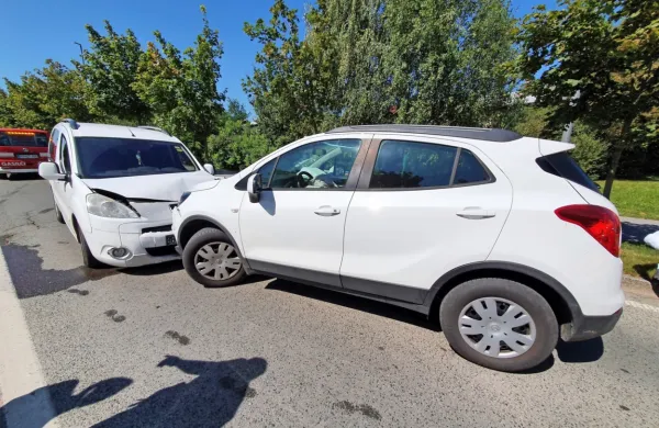 Voznik iz Postojne je povzročil eno nesrečo za drugo.  Policistom je 
povedal, da je med vožnjo zaspal. 