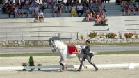 Ob glasbi Policijskega orkestra so na hipodromu predstavili znanje konj, jahačev in trenerjev, ki jih vodi Ladislav Fabris. Gala 
predstavo si je zaradi ukrepov proti širjenju koronavirusa lahko ogledalo le 500 oseb. 
