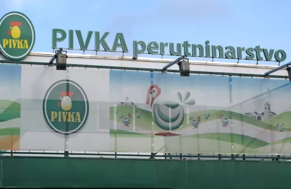 V Pivki perutninarstvu na delu manjka 40 delavcev.