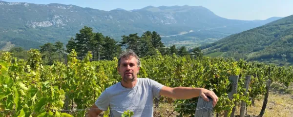 Primož Lavrenčič: &ldquo;Vinu vtisnemo tudi energijsko in čustveno plat&rdquo;