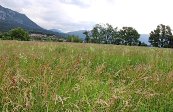 Na območju občine Ajdovščina je z današnjim dnem razglašena 
velika požarna ogroženost.
