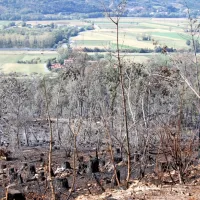 Tudi danes na požari&scaron;ču več kot 60 gasilcev