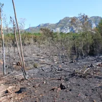 Tudi danes na požari&scaron;ču več kot 60 gasilcev