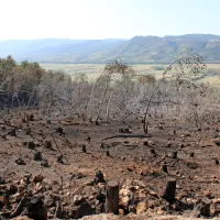 Tudi danes na požari&scaron;ču več kot 60 gasilcev