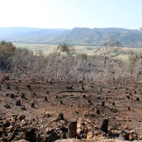 Tudi danes na požari&scaron;ču več kot 60 gasilcev