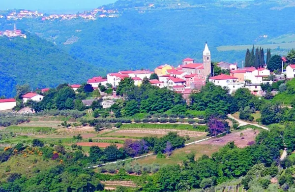 Na glasovanju  je največ glasov prejel predlog ureditve dostopa do 
kmetijskih površin na območju Šmarij v predelu Dobrave.