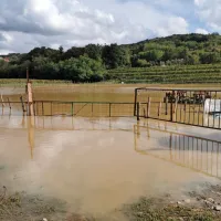 Na Gori&scaron;kem kljub jutranjemu deževju brez večjih težav