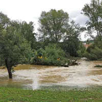 Na Gori&scaron;kem kljub jutranjemu deževju brez večjih težav