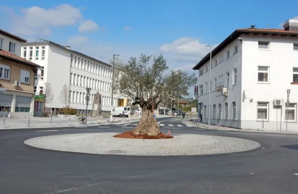  Brda so še med redkimi občinami pri nas, kjer še nimajo 
okužbe. 