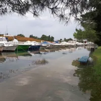 V Piranu zaradi nevarnosti plime zvečer sprožili sirene