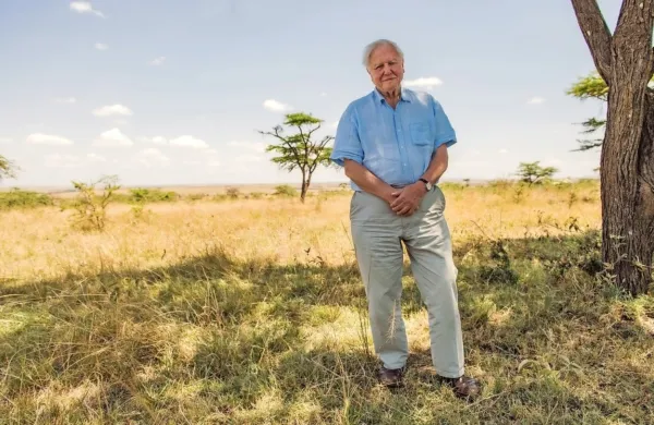 Sir David Attenborough v   okolju, kjer se najbolje počuti: v 
naravi. 