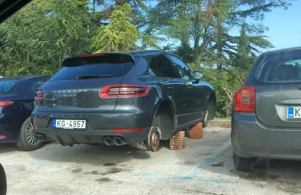 Sezuli latvijskega macana