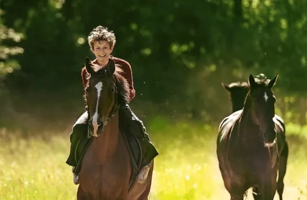 Film Konje krast temelji na uspešnem romanu norveškega pisatelja Pera Pettersona.