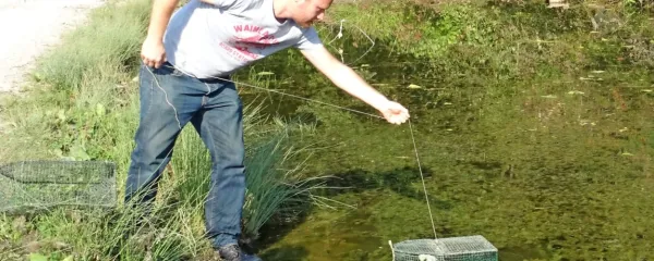 Peter Maričić je v kal na Ostrožnem Brdu namestil vrše, s katerimi 
lovi zlate ribice.