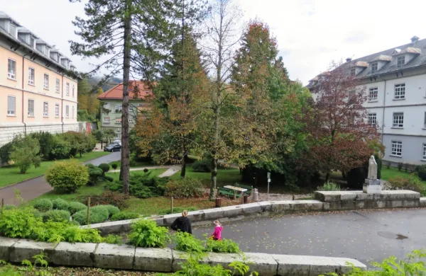 Psihiatrična bolnišnica Idrija se je s poletjem vrnila v normalne 
delovne tirnice, a se v teh dneh boji vnovične omejitve dela.