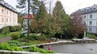 Psihiatrična bolnišnica Idrija se je s poletjem vrnila v normalne 
delovne tirnice, a se v teh dneh boji vnovične omejitve dela.