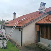 Gasilci imajo primerno opremo in so usposobljeni tudi za odstranjevanje osirjev in sršenjih gnezd  na težko dostopnih mestih.