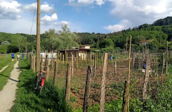 Sklad opozarja vrtičkarje, naj se umaknejo, a direktor potrjuje, da nikogar ne bodo izganjali na silo. 