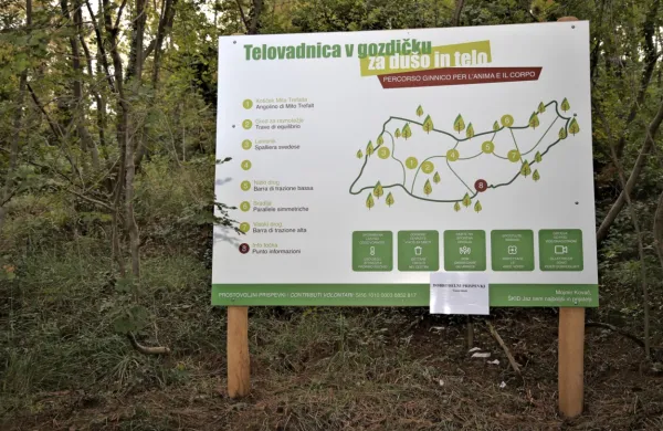 Telovadijo lahko v gozdičku
