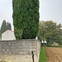 V Sv. Petru bodo obnovili zid pokopali&scaron;ča