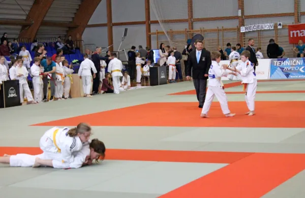 Na novogoriških blazinah se je potilo 73 judoistov. 