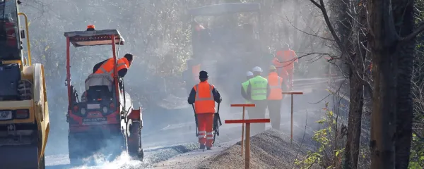 Primorska se cijazi k matični domovini