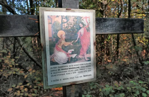 O epidemiji kuge, ki je v Istri  pustošila med letoma 1630 in 1632, 
priča tudi znamenje ob gozdni poti med Tinjanom in Dekani. 