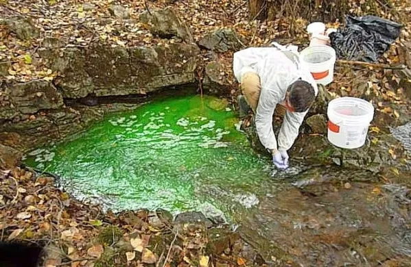 Sledi fluoresceina, ki so ga vlili v požiralnik Doberdobskega jezera, 
so raziskovalci našli tudi v vodi iz Prelosnega jezera.