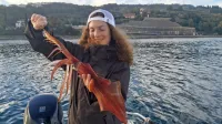 Lov na lignje je za športne ribiče   tudi sprostitev v času koronskih 
omejitev.   