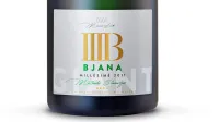[vino] Giant Mill&eacute;sime 2011 (Bjana)