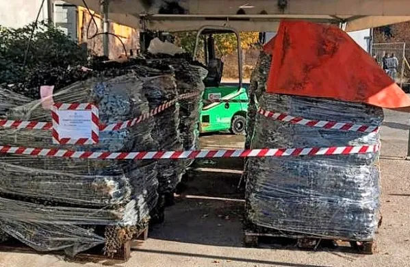 Inšpektorji oddelka za ribolov pri tržaški Obalni straži so v nedeljo 
dopoldne na območju mejnega prehoda Škofije zasegli več kot 
štiri tone klapavic, ki niso imele ustreznih oznak in dokumentacije 
za prodajo na italijanskem trgu. (Foto vir: Primorski dnevnik/Obalna straža)