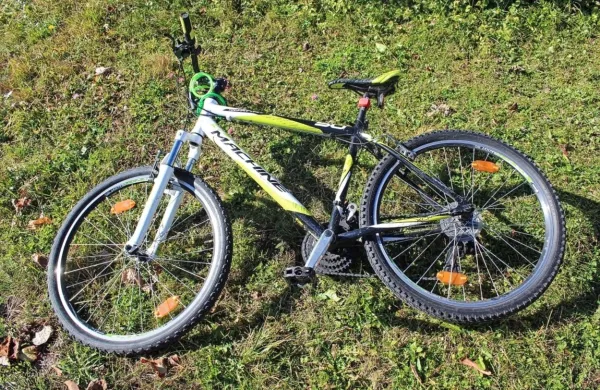 Med zaseženimi predmeti je tudi kolo znamke machine (Foto: PP 
Idrija)