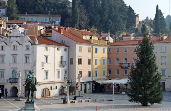 Dvanajst metrov zelenega razko&scaron;ja