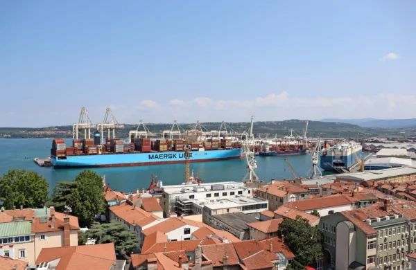 V programu logistični tehnik bodo izobraževali pomorske agente 
in ladijske posrednike.