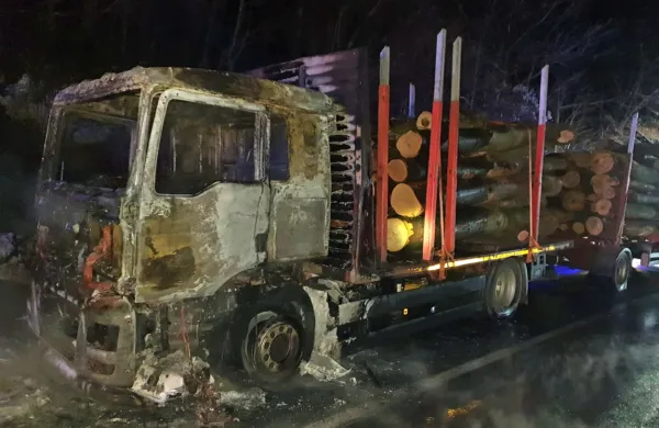 Od kabine tovornjaka je ostala le ožgana pločevina, hlodovino na 
prikolici pa so gasilci rešili.