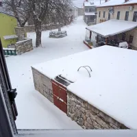 Rodik