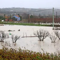 Strunjan spet pod vodo