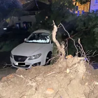 Istro zajelo neurje s sodro in točo