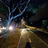 Izola